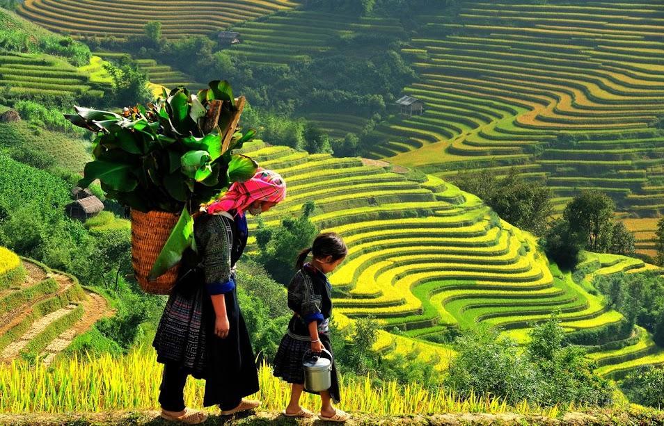 Hometravel Sapa Kültér fotó