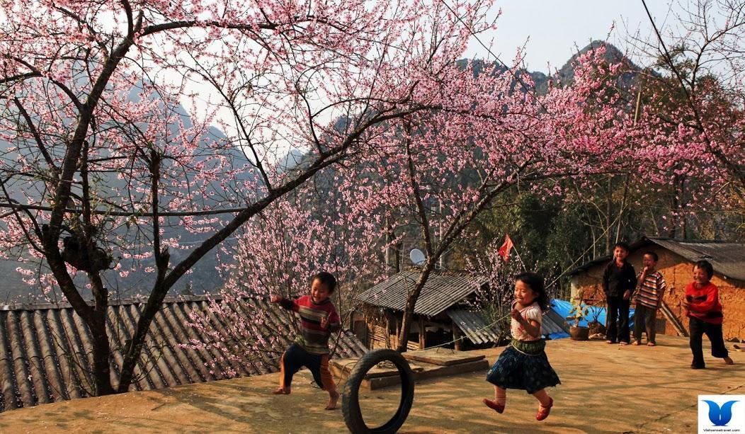 Hometravel Sapa Kültér fotó